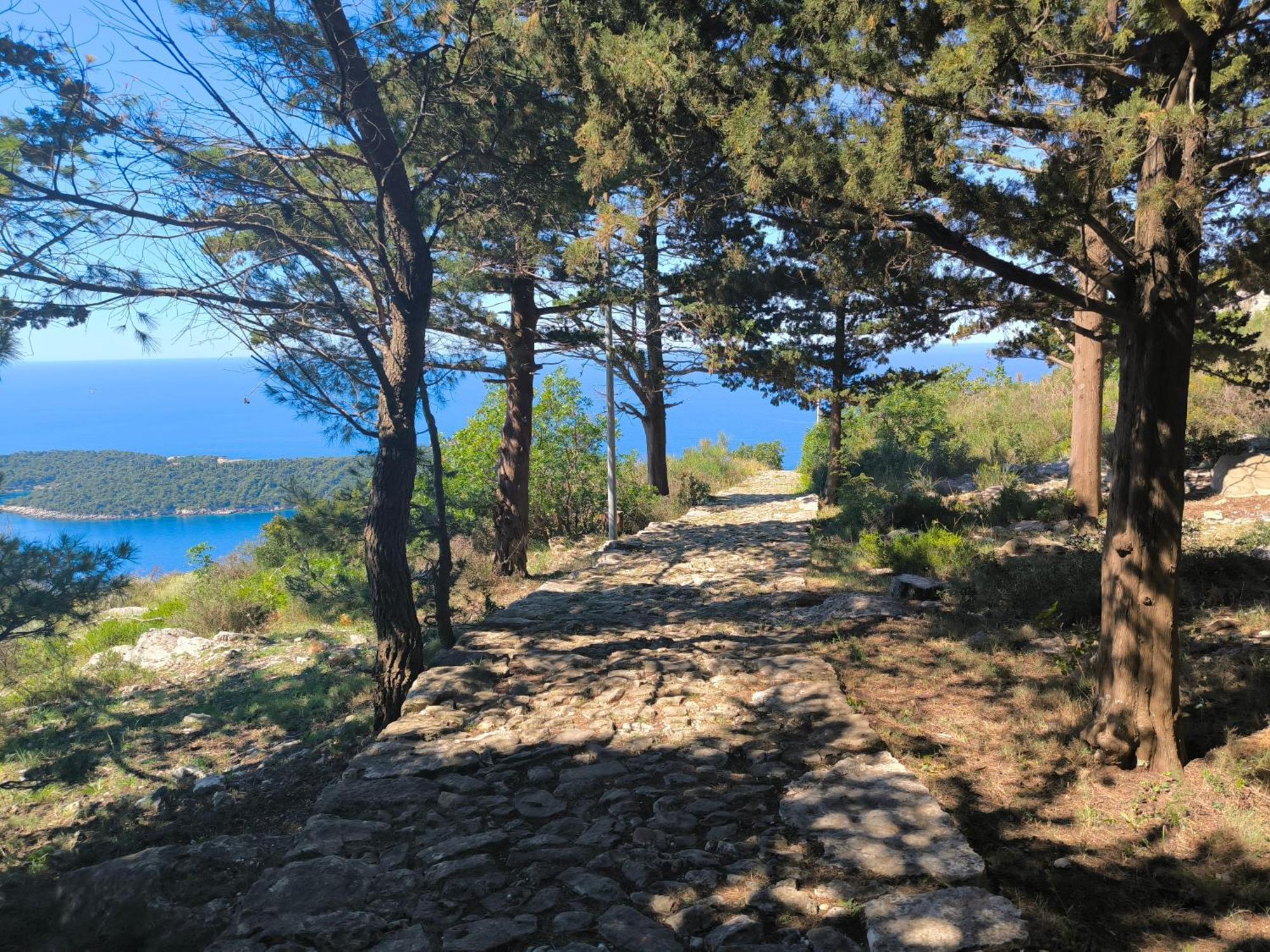 Apartments D&D Dubrovnik Kültér fotó